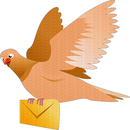 Pigeon Bird carrying letter png - Free PNG