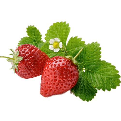 strawberries Bb2 - PNG gratuit
