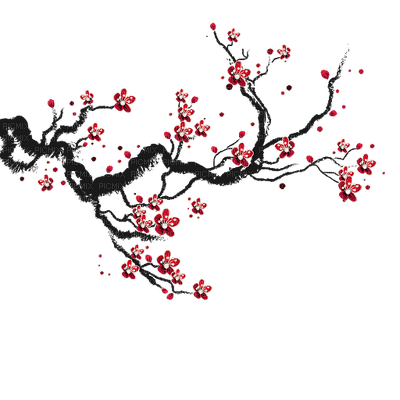 cherry blossom branch🍒🍒 cerise branche - 免费PNG
