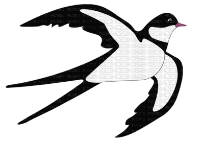 Kaz_Creations Spring Deco Bird - PNG gratuit