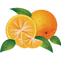 Orange Fruit - Bogusia - gratis png