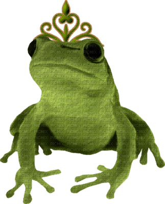 Kaz_Creations Frog Frogs - kostenlos png