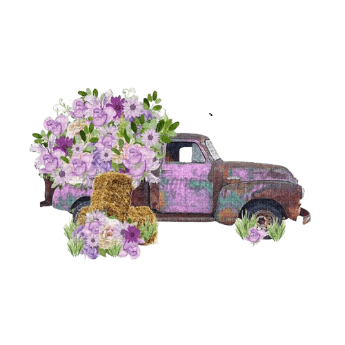 Car flowers - gratis png