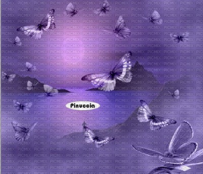 farfalle - 免费PNG