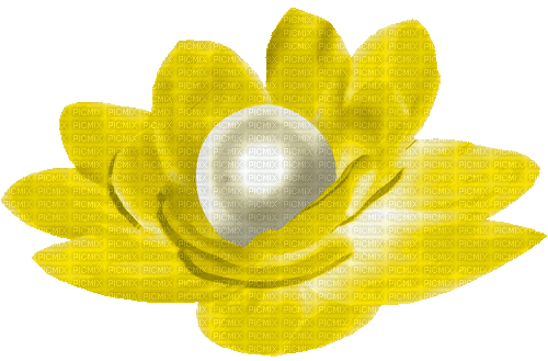 Animated.Flower.Pearl.Yellow - By KittyKatLuv65 - GIF animé gratuit