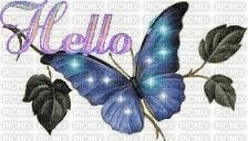 BUTTERFLY - HELLO - Free PNG