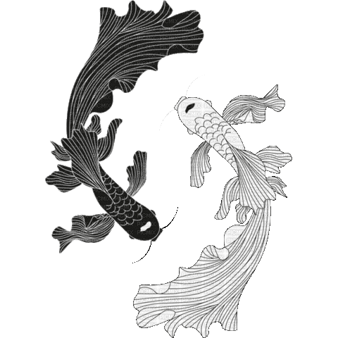 Yin Yang - 無料のアニメーション GIF