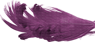 plume violette.Cheyenne63 - nemokama png