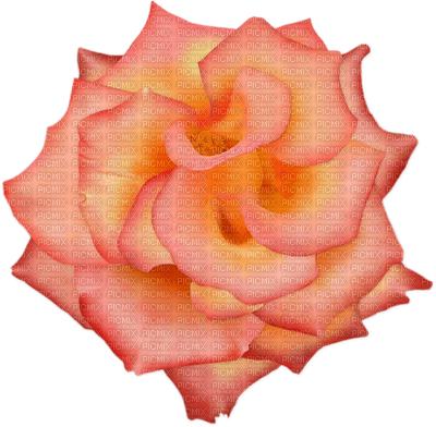 Flowers peach bp - 免费PNG
