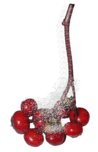 jul-deco-bär-blomma-röd-vit - ingyenes png