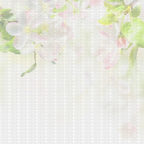 Background Spring - δωρεάν png