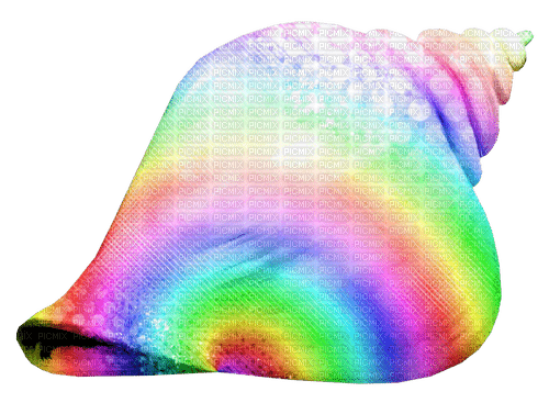 Seashell.Rainbow - nemokama png