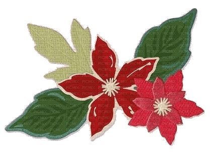 nbl-flower - 免费PNG