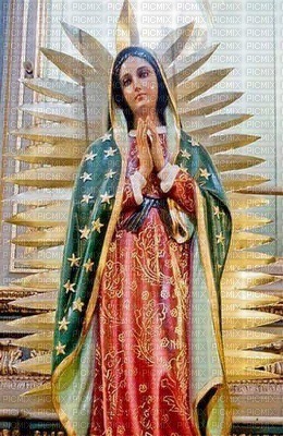 Madre mía de guadalupe - 免费PNG