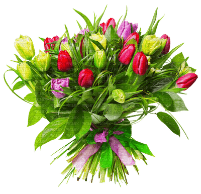 букет тюльпанов - δωρεάν png