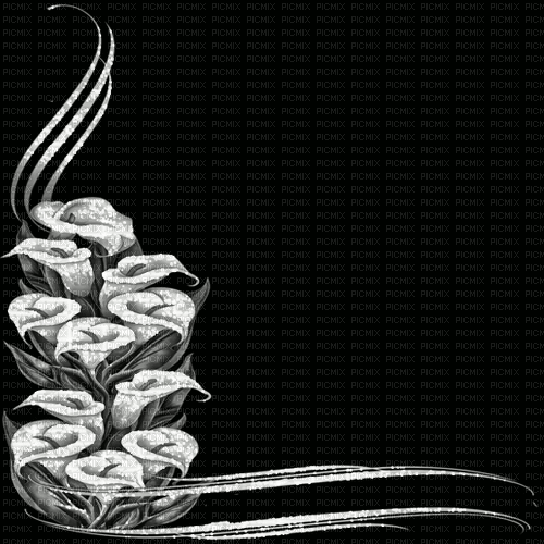 animated background black white milla1959 - GIF เคลื่อนไหวฟรี