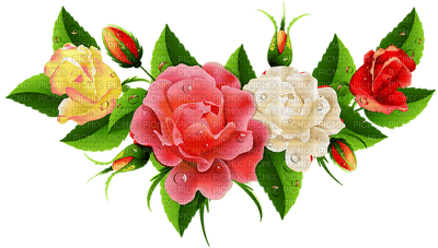 kukka, flower, fleur - δωρεάν png