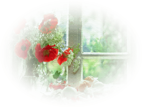 Mohnblumen am Fenster - zadarmo png