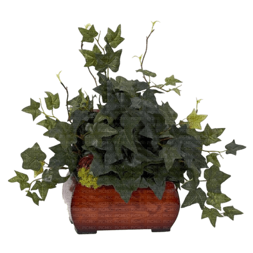 Plants.Plante.Pot.Deco.Victoriabea - Free PNG