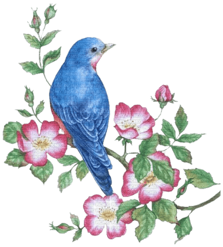 Vogel, Blau, Blumen, Bird, flowers - darmowe png