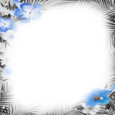 soave frame tropical summer flowers black white - Free PNG