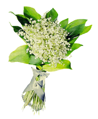 Muguet.Bouquet.Fleurs.gif.Victoriabea - Ingyenes animált GIF