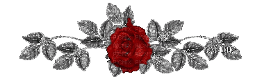 bordura Melly ruža - Безплатен анимиран GIF