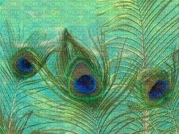 Kaz_Creations Deco Peacock Backgrounds Background - bezmaksas png