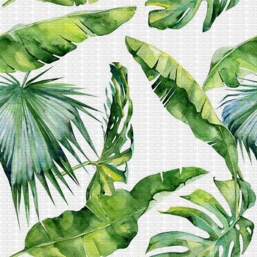 tropic Background - PNG gratuit