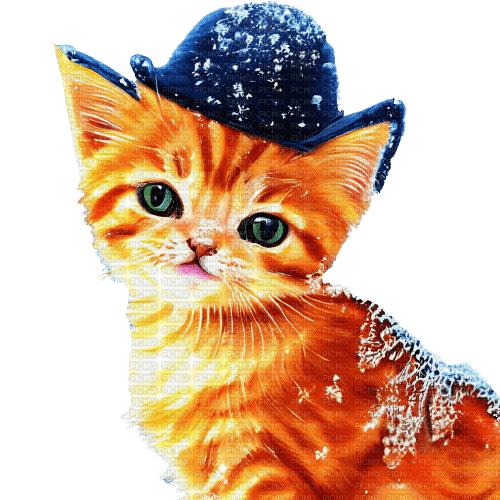 kikkapink kitten animal cute deco winter - безплатен png