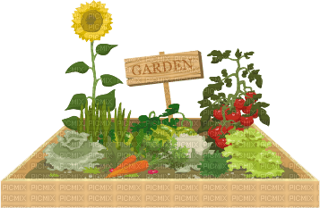 Kaz_Creations Garden - png gratuito