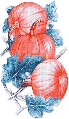 soave deco autumn thanksgiving pumpkin blue - PNG gratuit