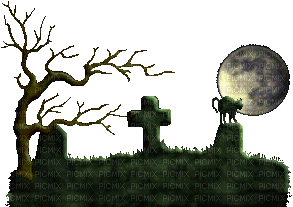 chat, cimetière - 無料のアニメーション GIF