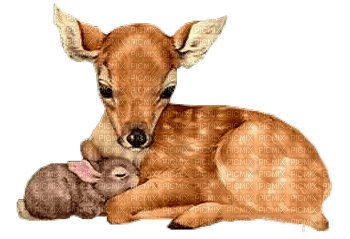 deer bp - δωρεάν png