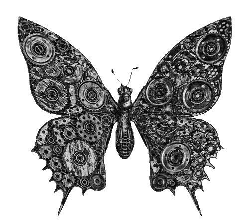Steampunk.Butterfly.Black - By KittyKatLuv65 - Free animated GIF