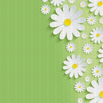 Background Flowers - gratis png