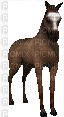 koń - GIF animado grátis