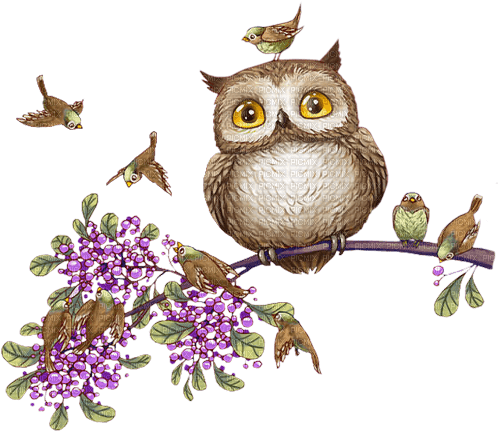 Y.A.M._Spring owl - gratis png