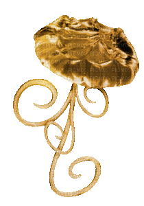 jellyfish (created with gimp) - GIF animado grátis