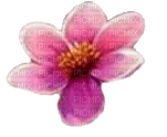 fiore rosa - besplatni png