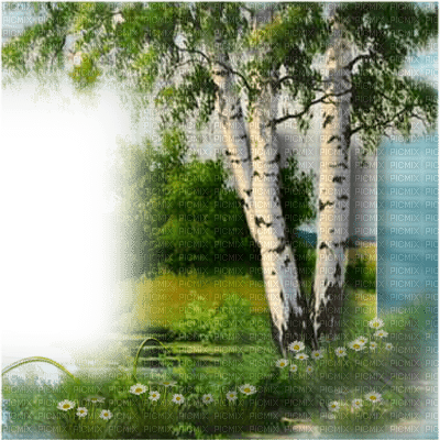 frame cadre natur - gratis png