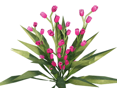 pinkbells - Free PNG
