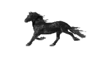 Лошадь - Darmowy animowany GIF