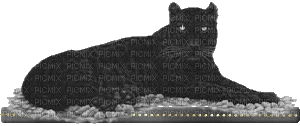 panthere noir - GIF animé gratuit