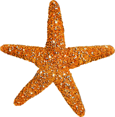 Starfish.Orange - gratis png
