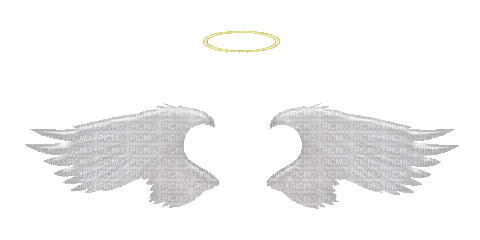 Angel wings - GIF animado gratis