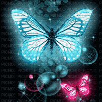 Tshego's butterfly - 無料のアニメーション GIF