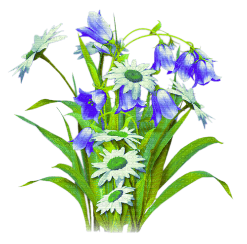 Flowers.Blue.White.Green - nemokama png