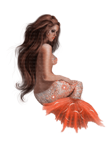 meerjungfrau mermaid - png grátis