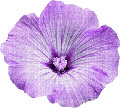Kaz_Creations Purple Violet Scrap Deco Flower - nemokama png
